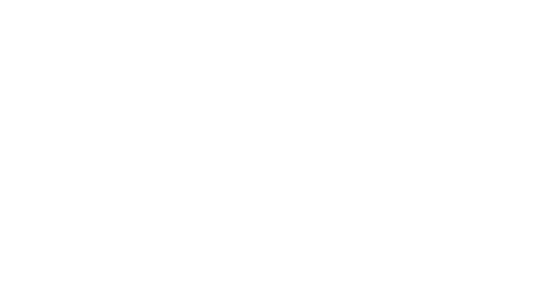 Geisi Blog